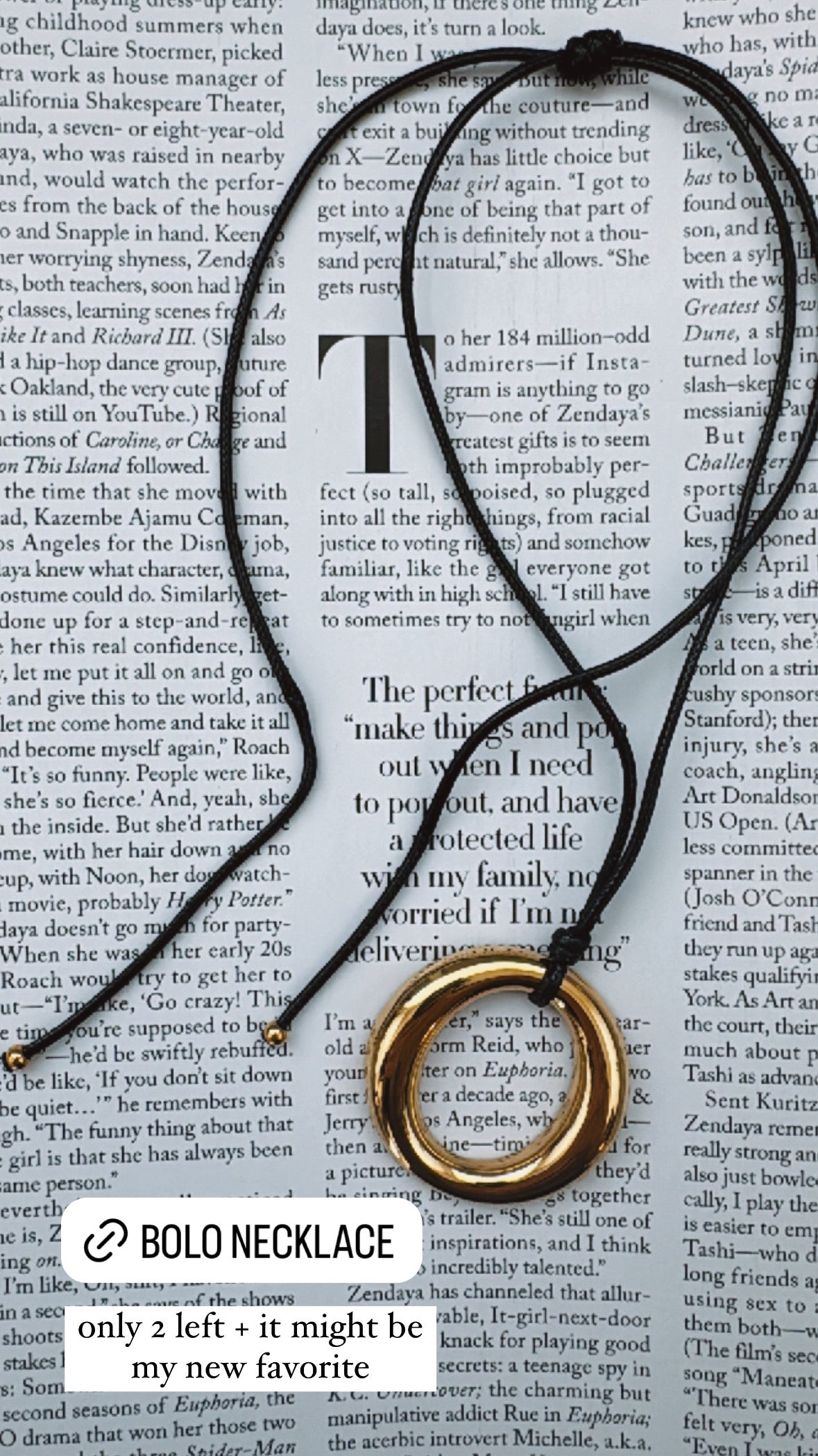 The Bolo Necklace