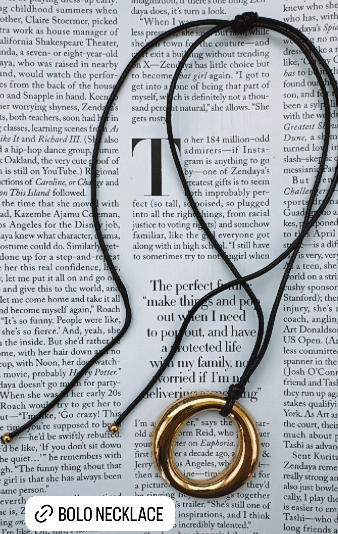 The Bolo Necklace