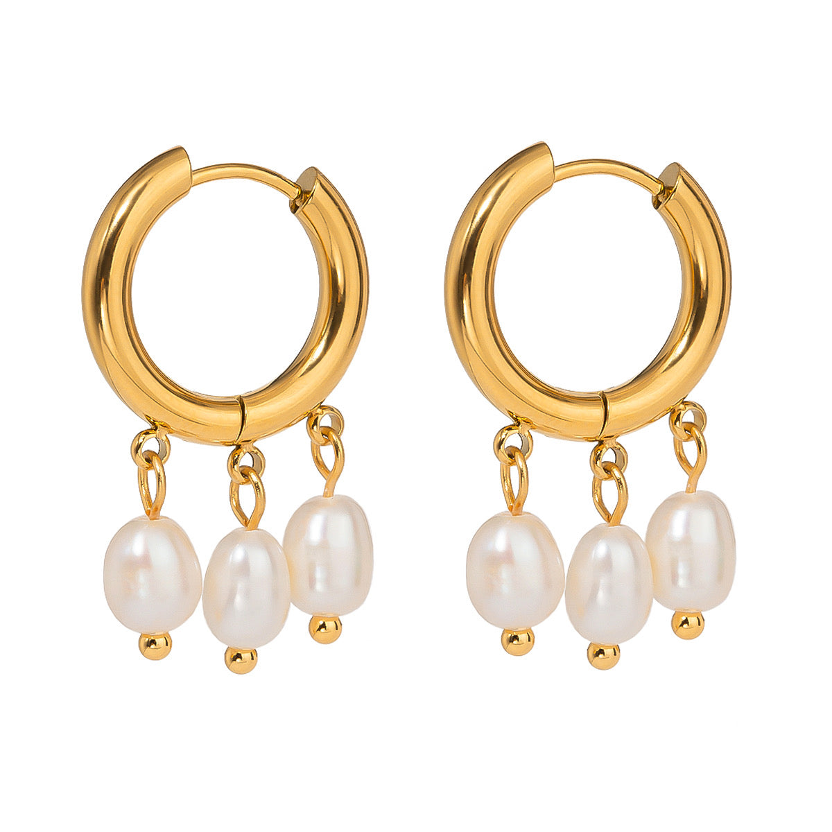Desert Cowgirl Earrings