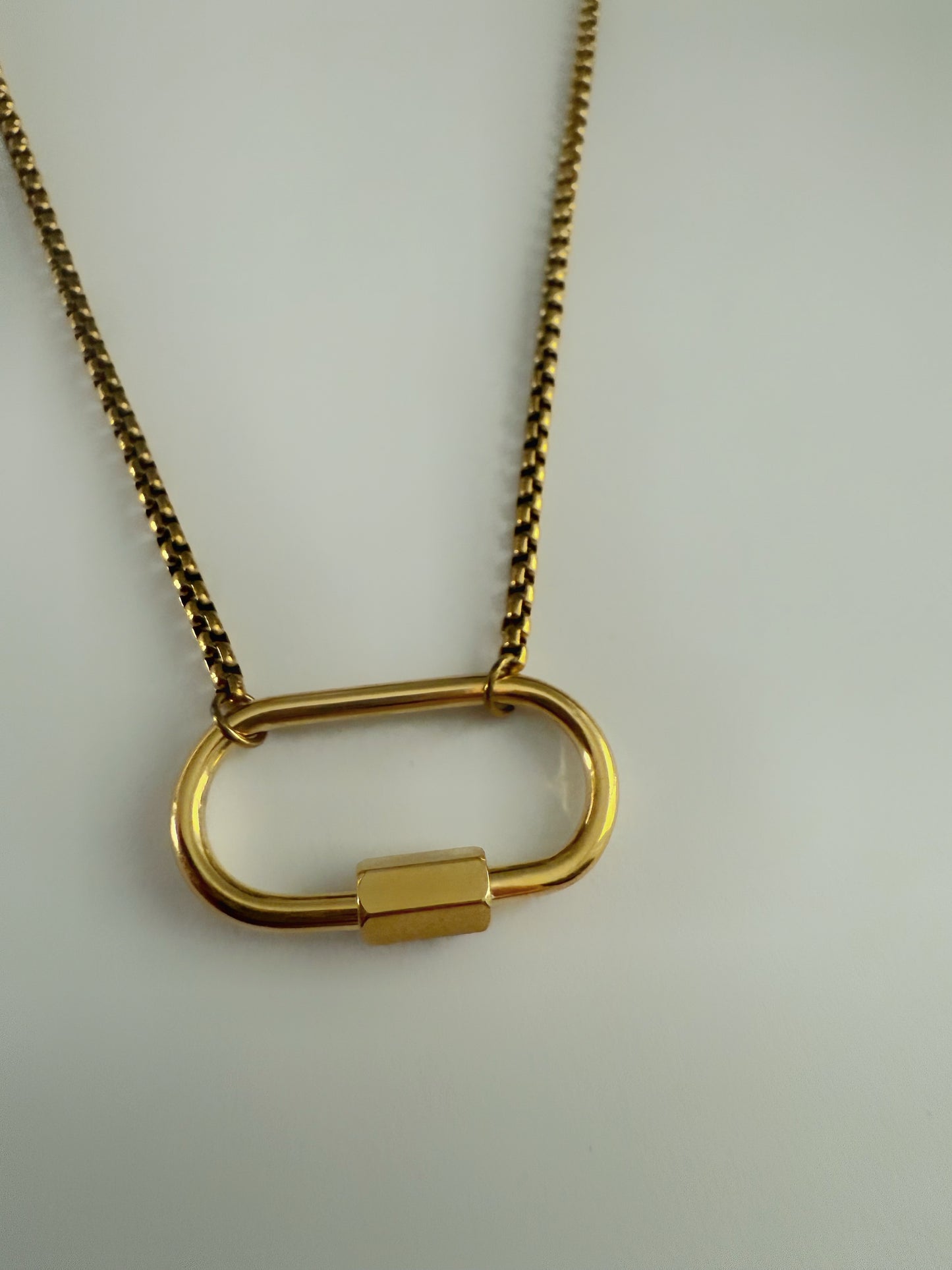 Locked In Necklace