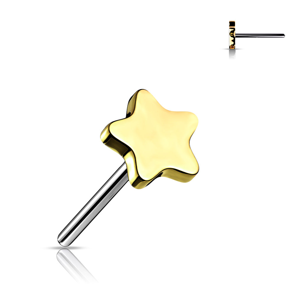 Star Studs