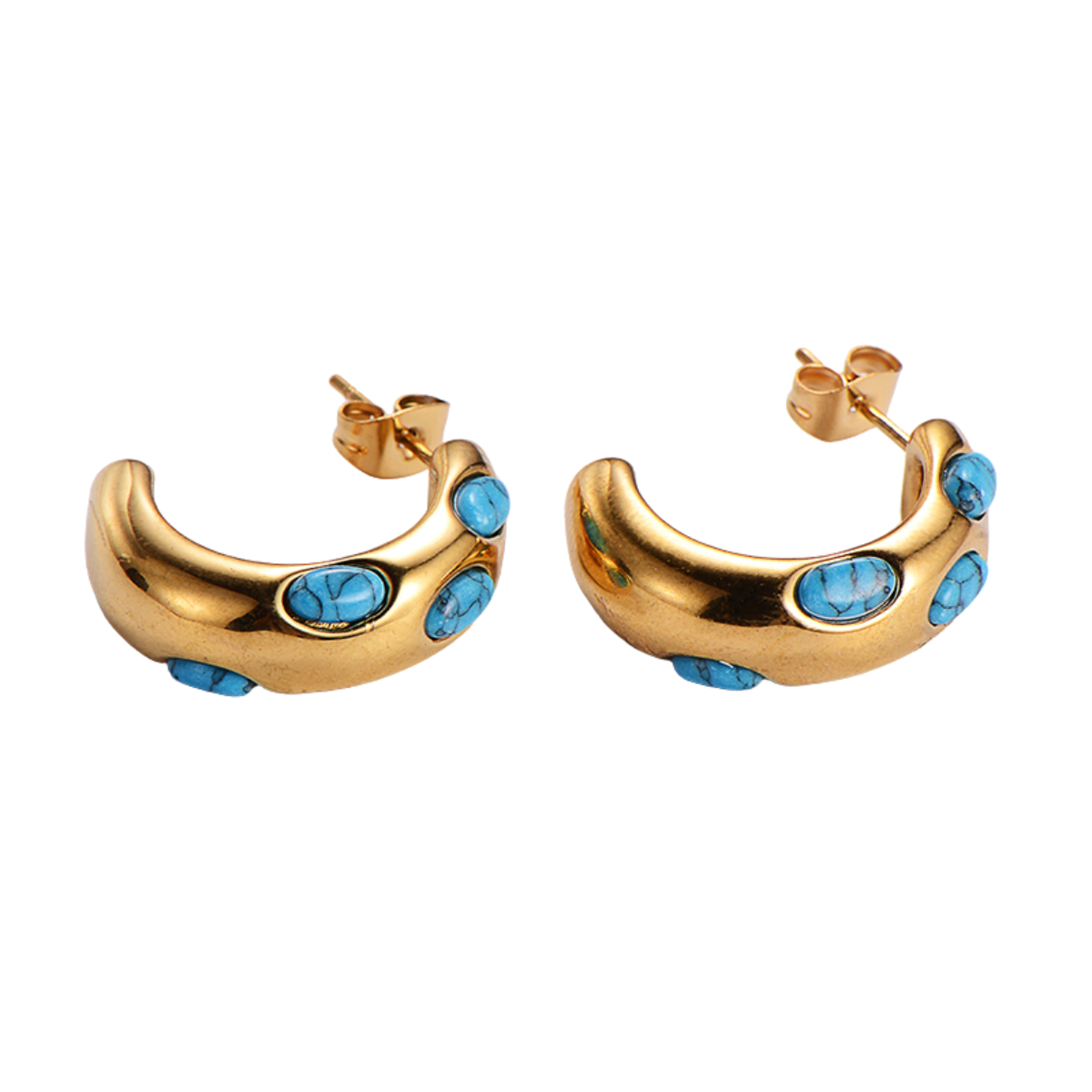 Take me to the Rodeo Earrings