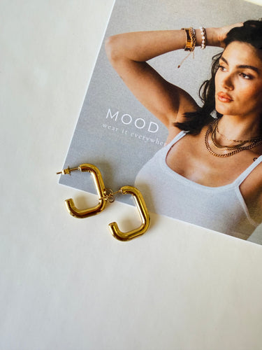 Holly Hoops