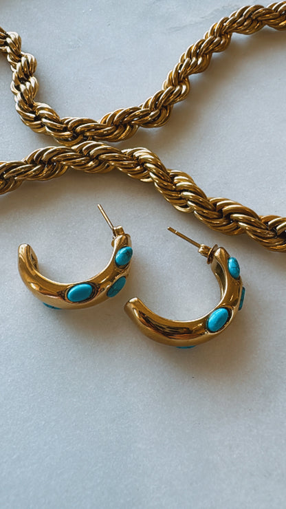 Take me to the Rodeo Earrings