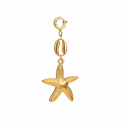 ✨ Bikini Charm Collection – Clip-On Charms for the Carribeaner