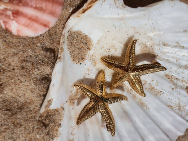 Golden Starlet Studs