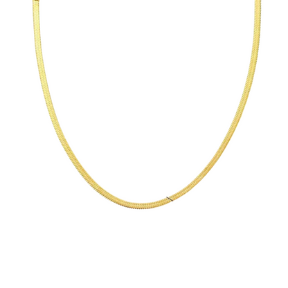 Icon Choker Necklace