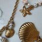 Big Beach Shells Necklace