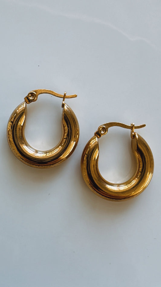 Stella Hoops Earrings