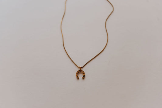 Lucky You Horse Shoe Necklace