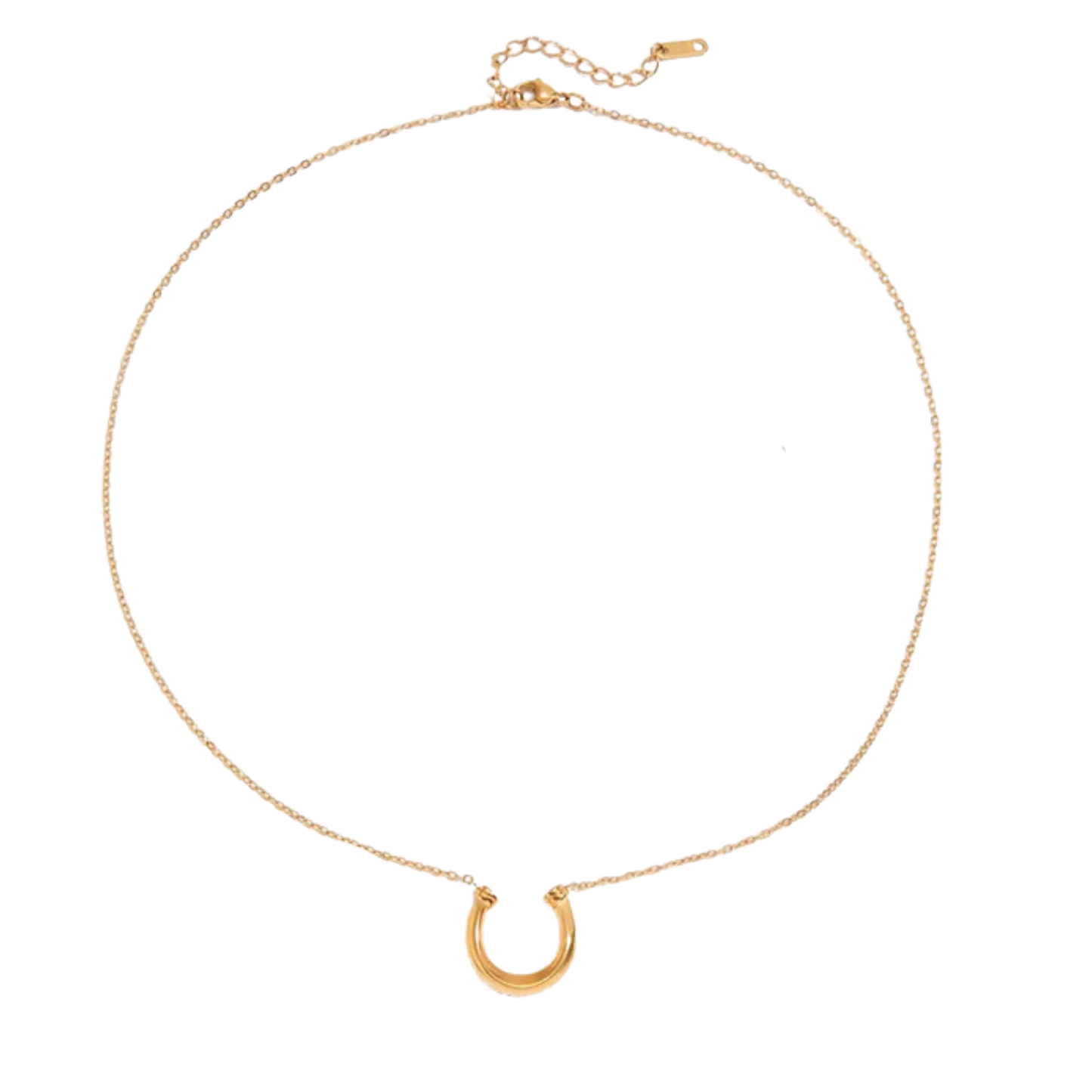 Montana Horseshoe Necklace