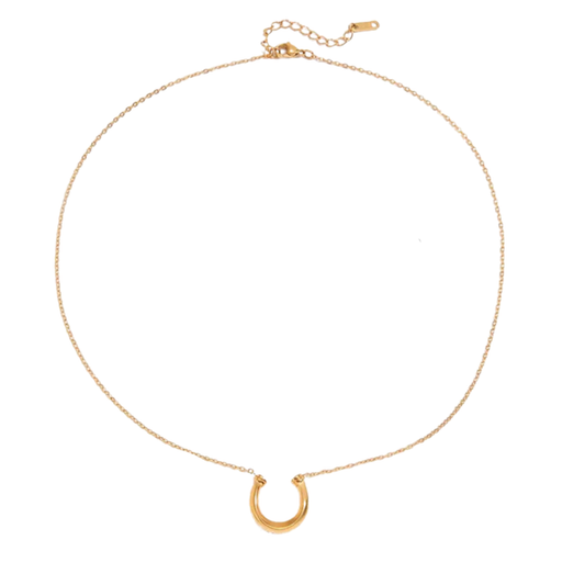 Montana Horseshoe Necklace